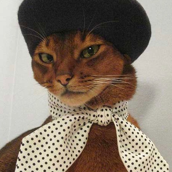 Meet your Posher, Katie - Picture 1 of 1